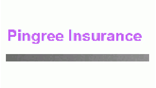 Pingree Insurance Brokers LLC
