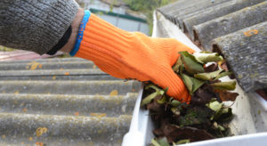 hand in rubber glove cleaning gutters
