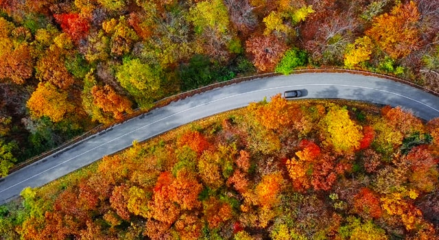 view of car driving. through trees with fall. colors