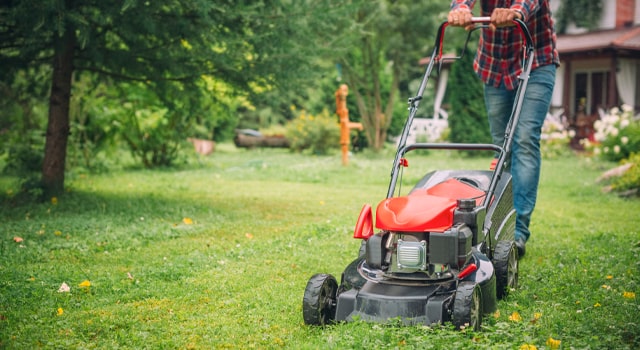 man pushing lawn mower getting yard ready for spring