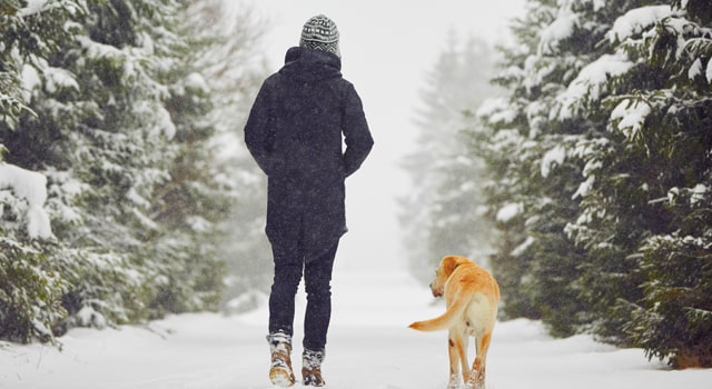 woman walking with dog on snow covered trail