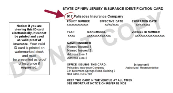 Example of Insurance ID Card