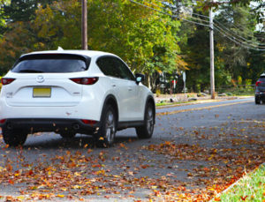 Plymouth Rock Insurance Reviews for Auto & Home Coverage