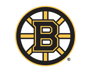 Bruins Hockey team logo