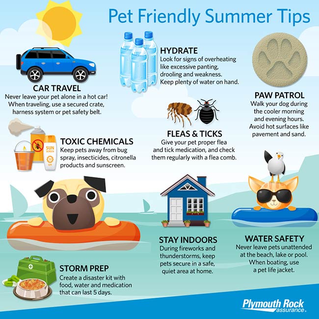 summer pet safety tips infographic, including storm prep and water safety