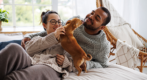 Man and woman laughing while playing with a dog