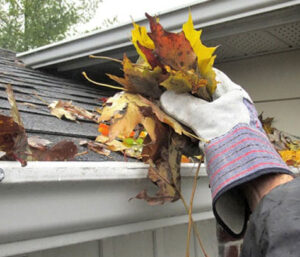 removing leaves from gutter wearing gloves