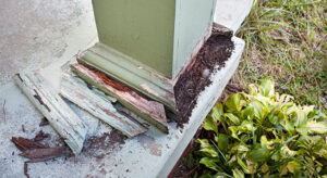 Does home insurance cover termite damage when Bottom of front porch column with termite damage