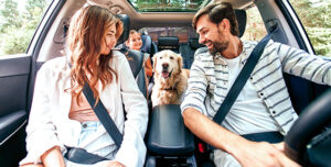 Young couple parked in their SUV looking back at their child and dog in the backseat